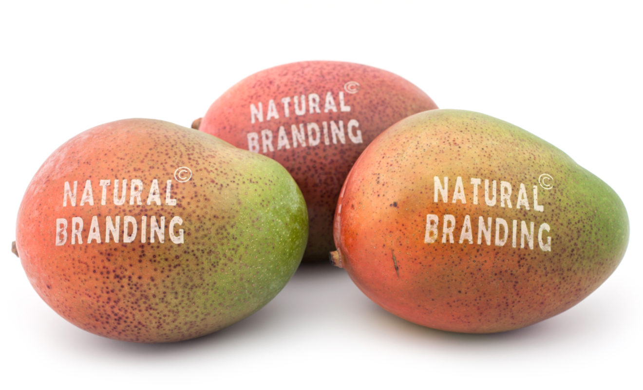 El Natural Branding de Laser Food obtiene el sello de Solar Impulse